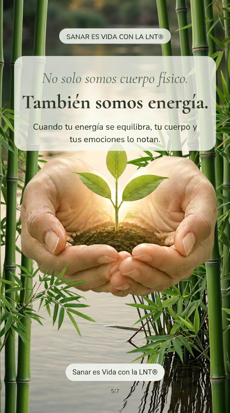 Qué es la LNT® · historia 5 de 7