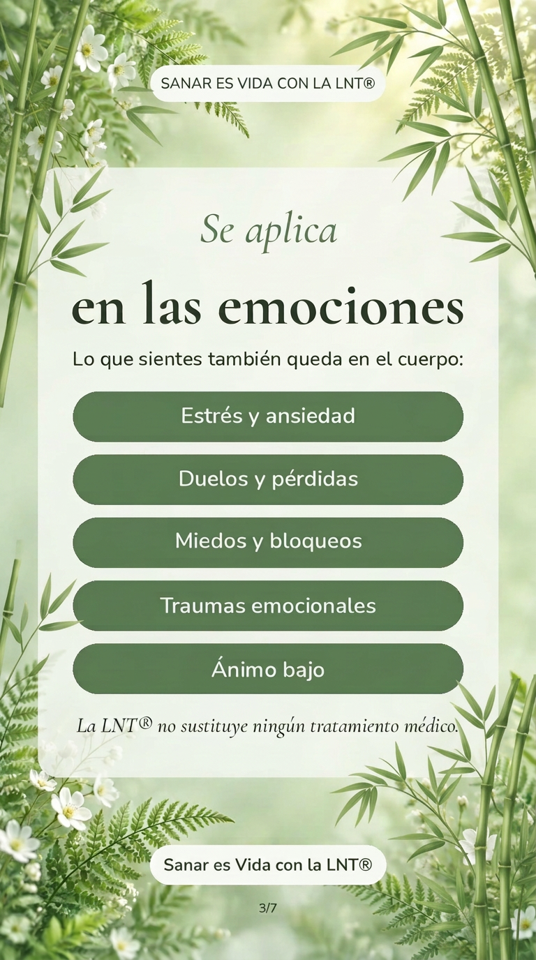 Historia 10 sobre la LNT®